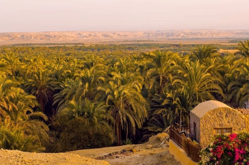 Couple enjoying Paris with Eiffel Tower