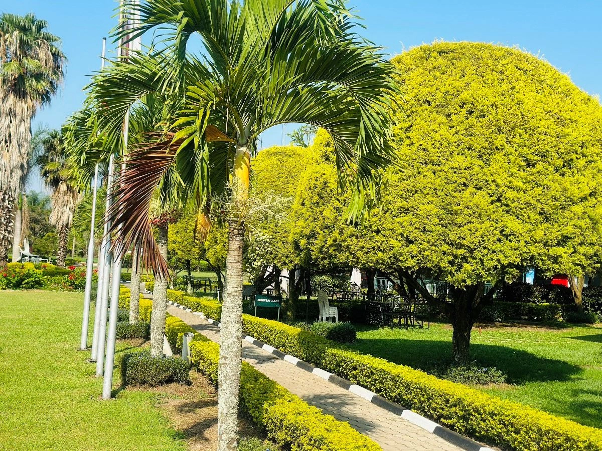 Couple enjoying Paris with Eiffel Tower
