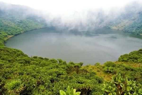 Ultimate Scenic Safari and Primate Trek