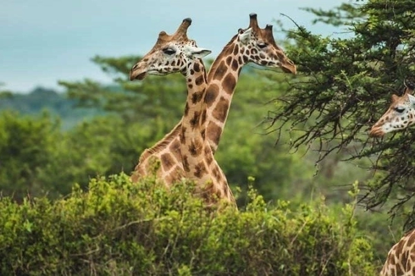 Uganda–Off the Beaten-Path Expedition