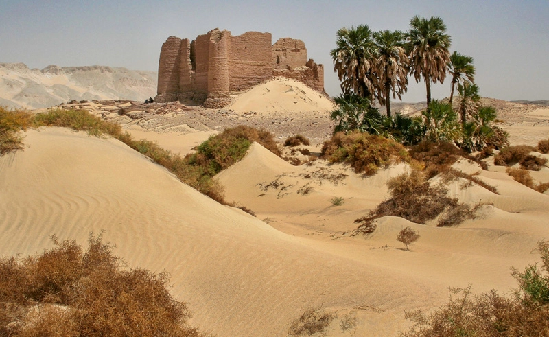 Couple enjoying Paris with Eiffel Tower