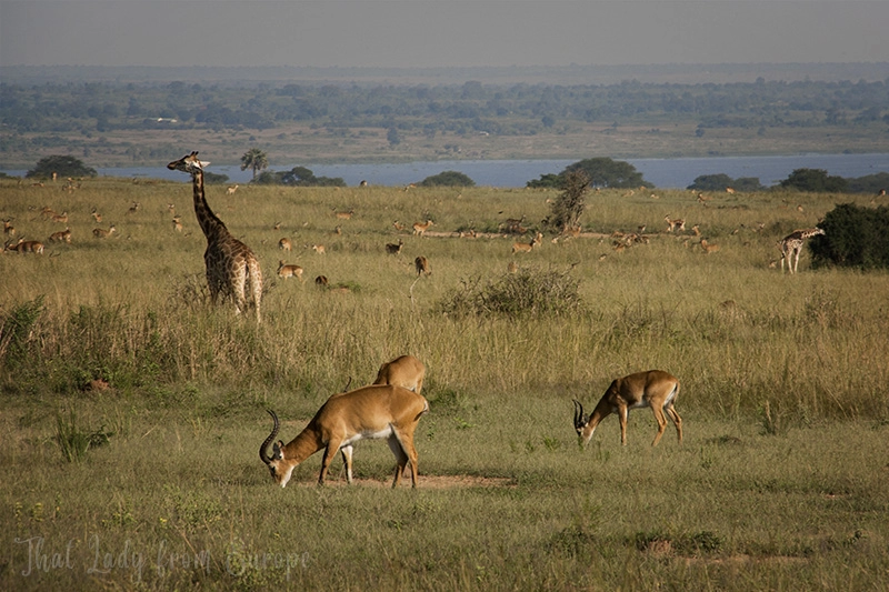 Couple enjoying Paris with Eiffel Tower