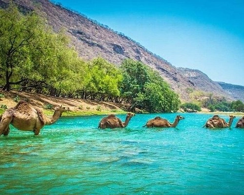 Couple enjoying Paris with Eiffel Tower