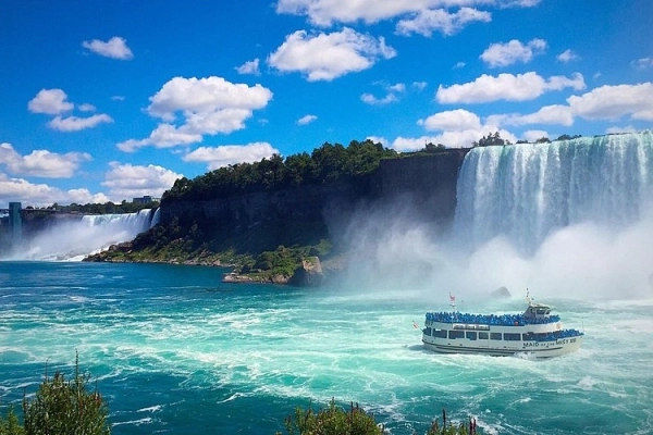 Exclusive Wilderness Safari & Chimp Habituation