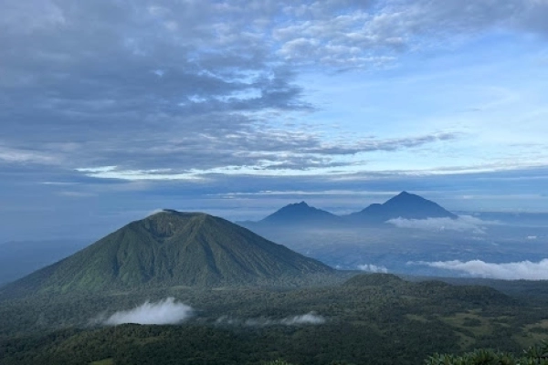 7Days Primate Habituation Expedition